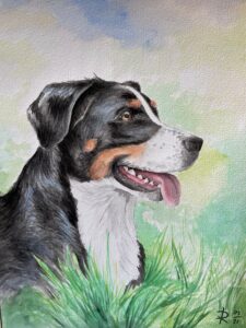 Haustierportrait